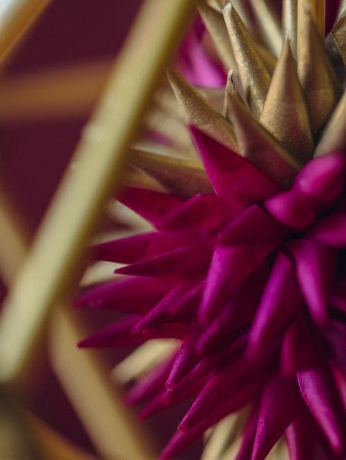 zbliżenie na detale