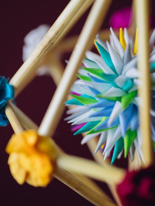 zbliżenie na jeżyka