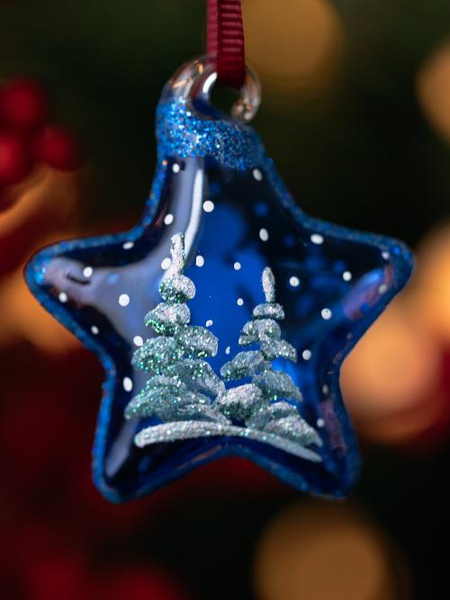 dwie zielona choinki