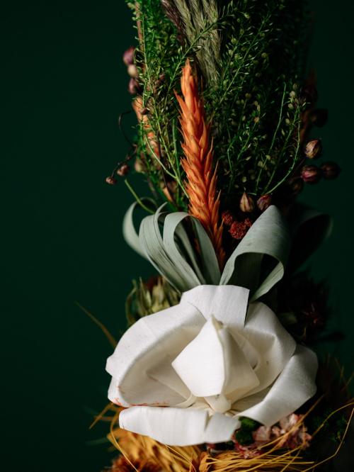 palma z białymi kwiatkami