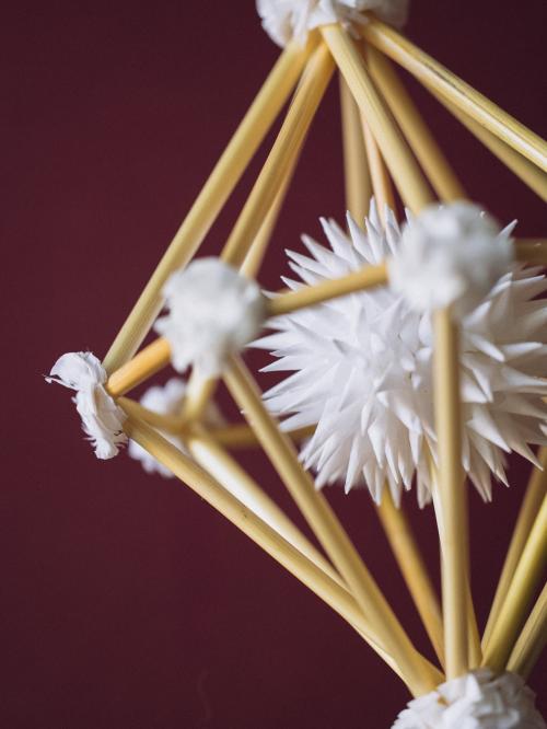 zbliżenie na pająka