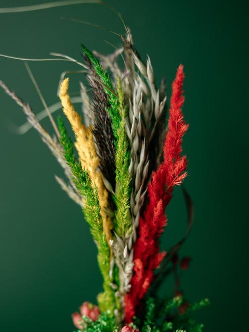 palma z czerwonymi kwiatkami