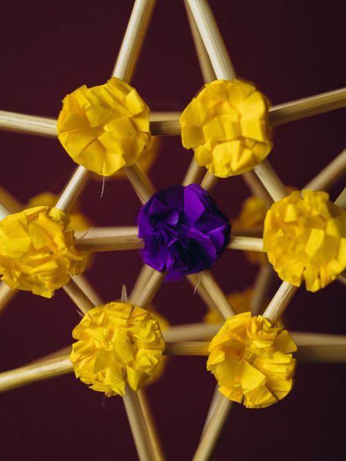 zbliżenie na żółte kwiatki