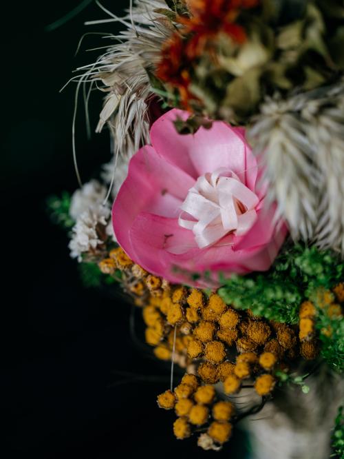 zbliżenie na kwiatek