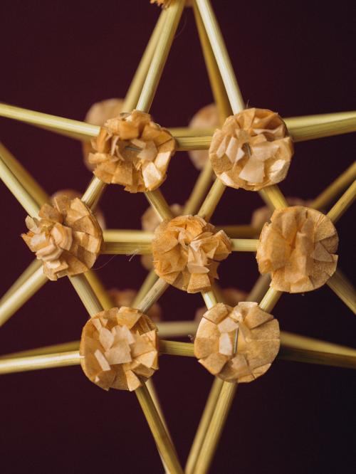 zbliżenie na kwiatki