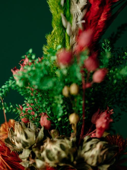 palma z czerwonymi kłosami