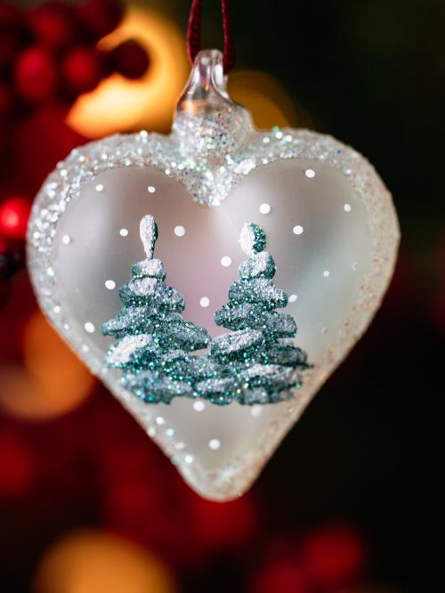 dwie choinki pokryte śniegiem