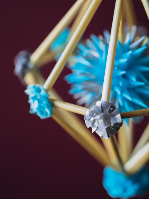 pająk niebieski diament