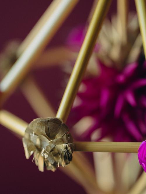 zbliżenie na kwiatki