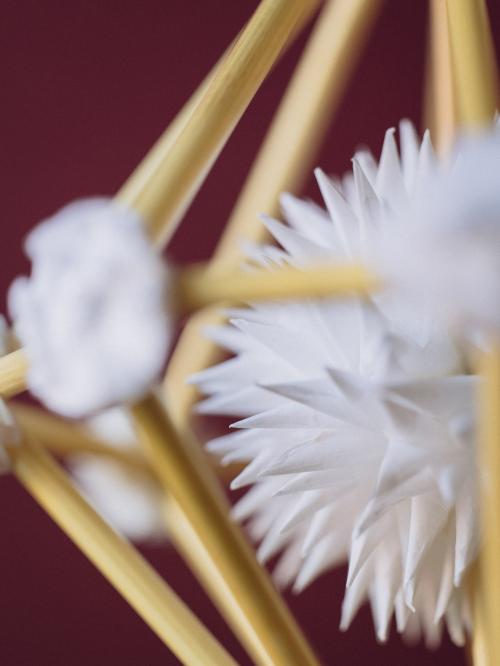 mini pająk biały diament