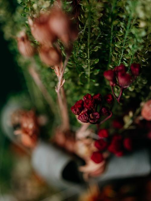 Zbliżenie na palemkę z suszonych składników na tle zielonej ściany.