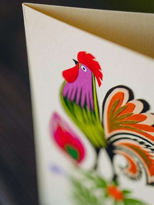 zbliżenie na koguta