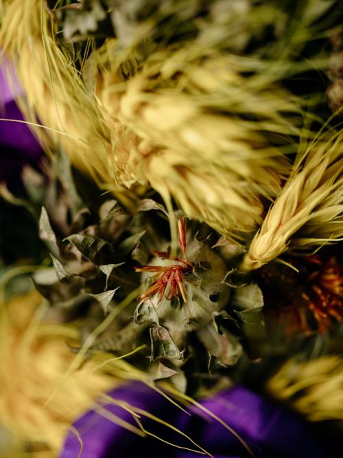 Zbliżenie na palemkę.