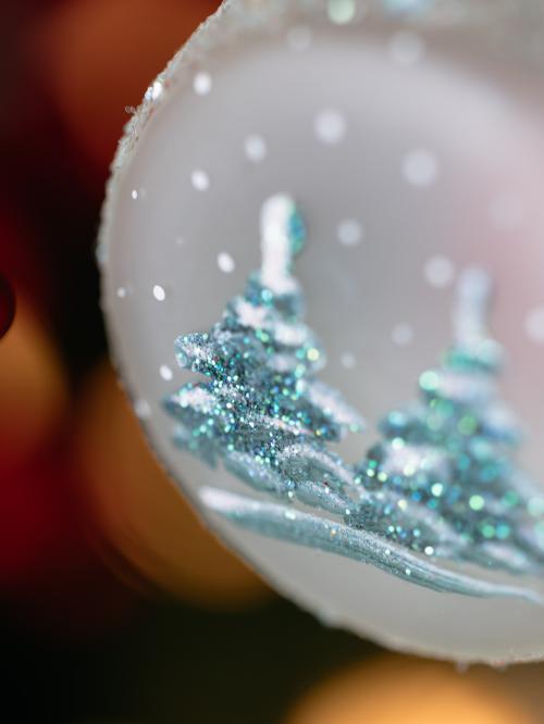 zbliżenie na choinki pokryte śniegiem