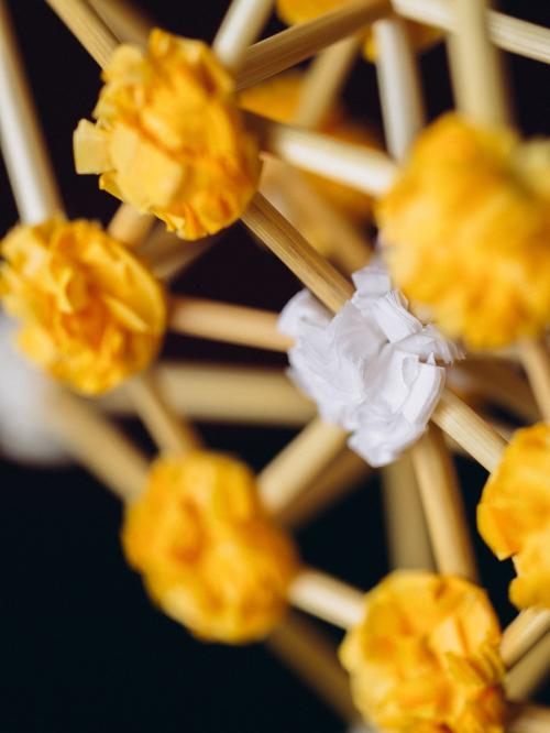 zbliżenie na żółte kwiatki