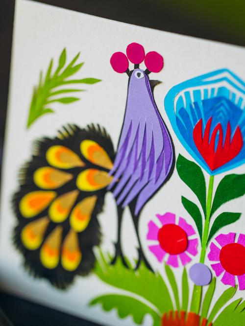 zbliżenie na fioletowego pawia