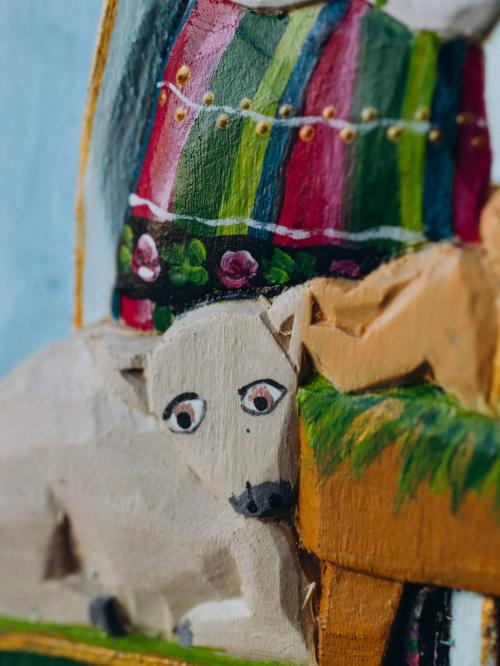 zbliżenie na owieczkę