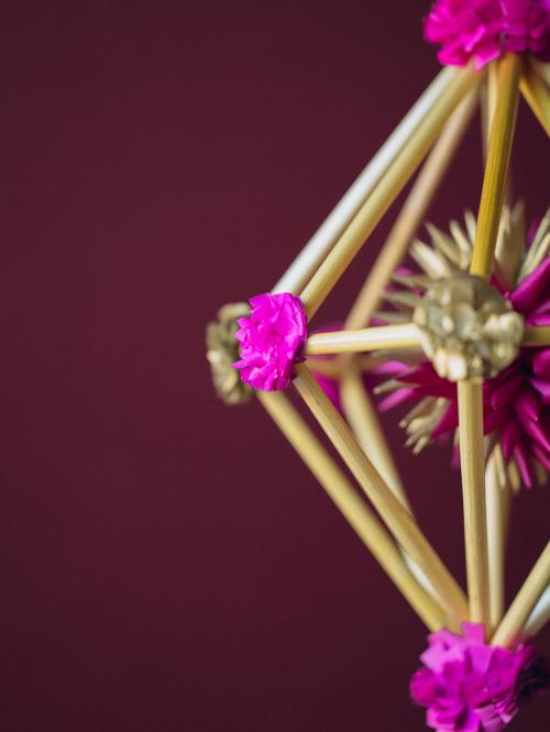 mini pająk różowy na bordowym tle