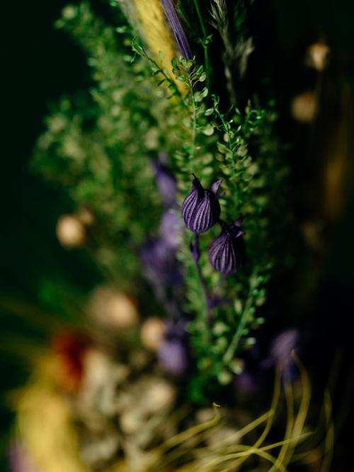 Zbliżenie na palemkę z suszonych składników na tle zielonej ściany.