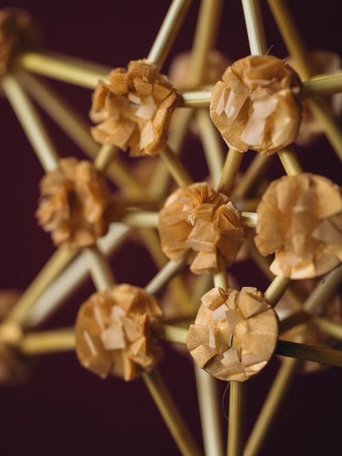 mini pająk gwiazdka beżowy