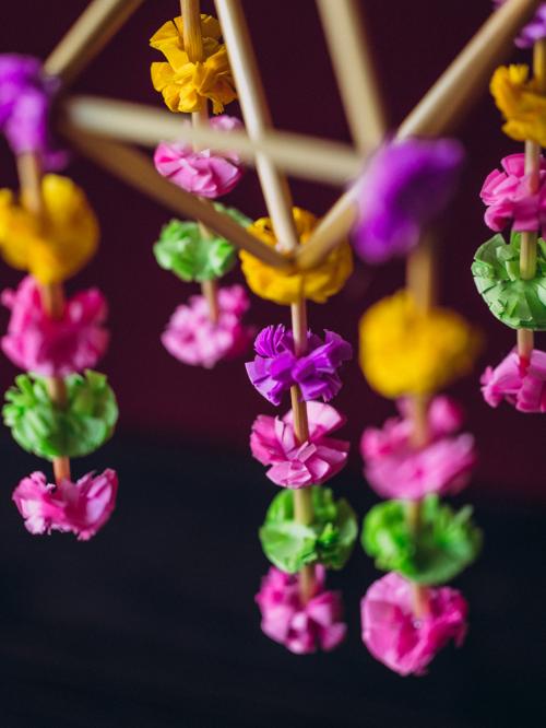 zbliżenie na kwiatki