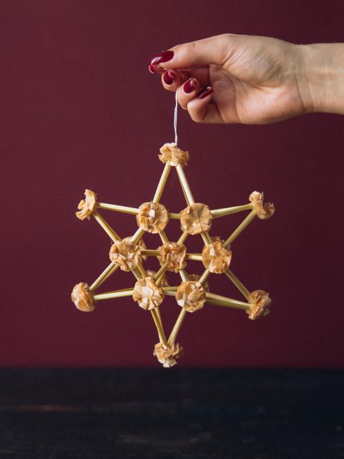 mini pająk trzymany w dłoni