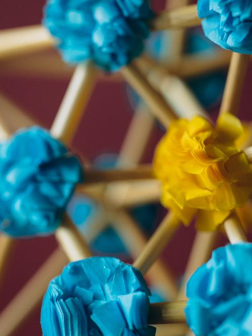 zbliżenie na niebieskie kwiatki