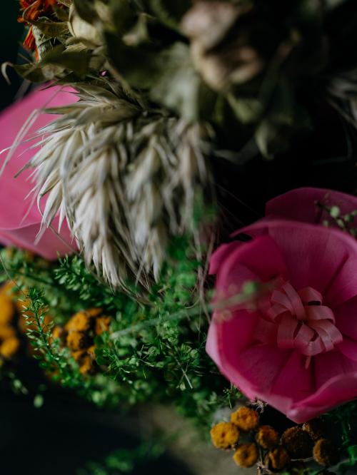 palma z różowymi kwiatami