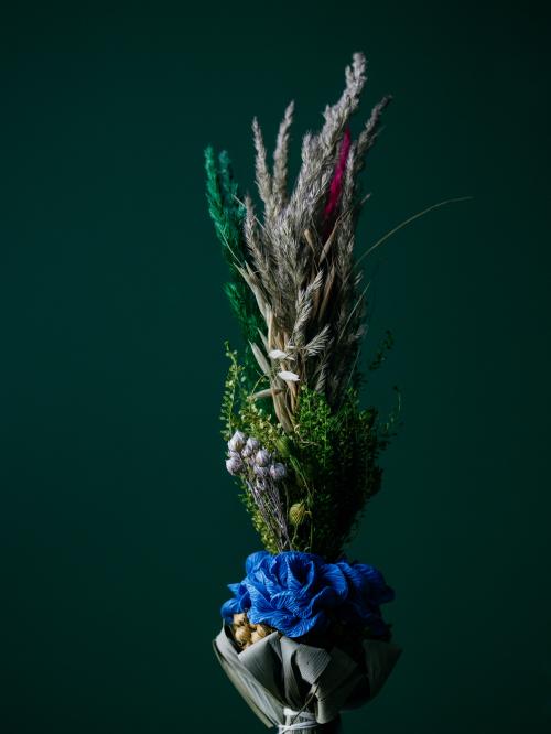 palma na zielonym tle